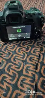 Photos parpas and video