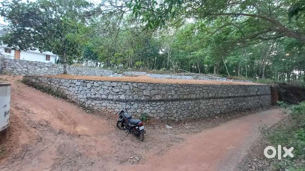 10 cent pothencode vavaraambalam