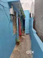 Rent for house