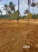 350000 per cent asking price Kothamangalam kozhippilly