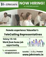 We need telecallers fresher and experienced persons Female Candidates
