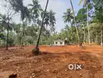 Plot For sale Pannur-Narikkuni (Pannur koduvally route)