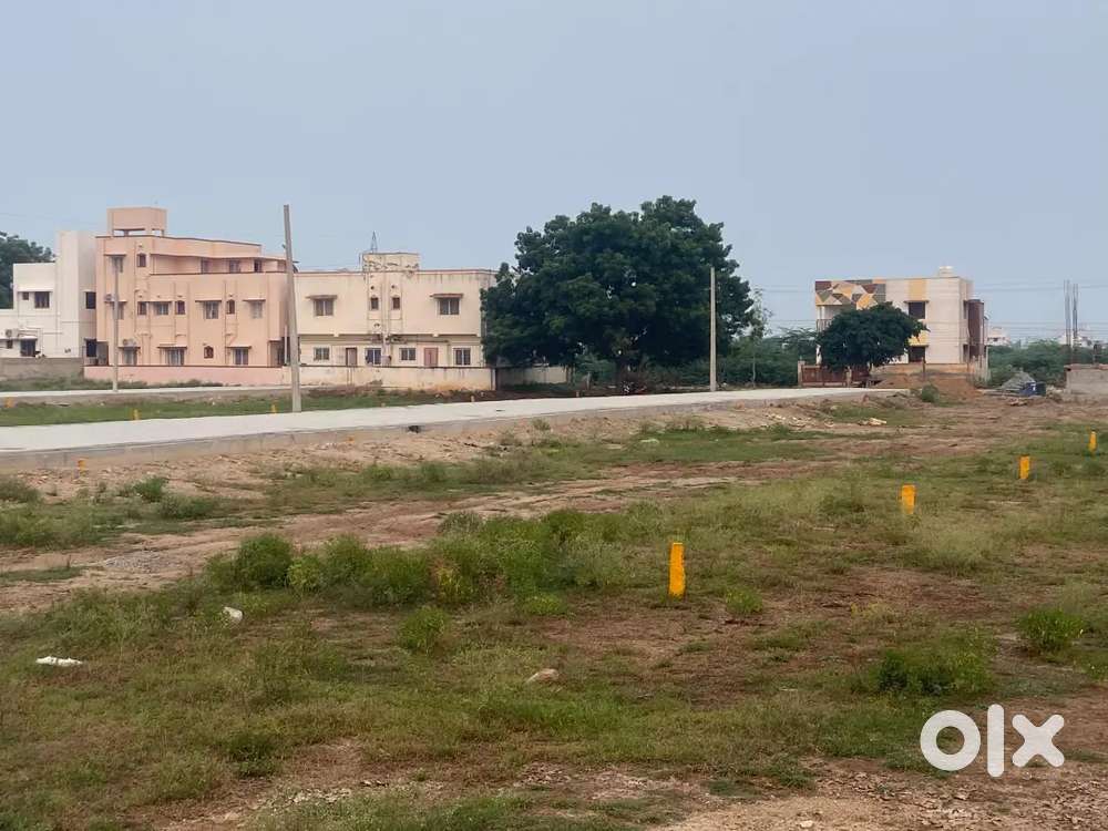 தீரன் நகர் OXFORD COLLEGE முன் புறம் DTCP RERA APPROVAL