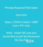 Sales Executive Required Field