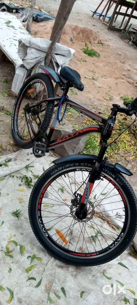 Caya new cycle with both side disc break