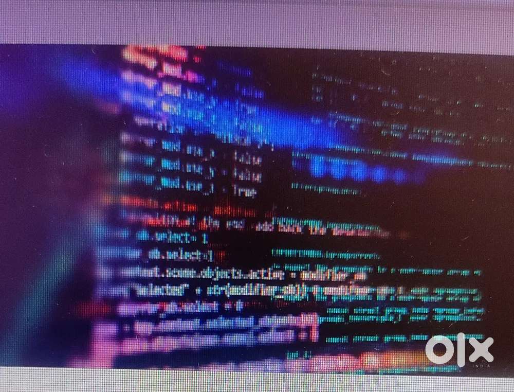 Software developer intern