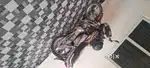Hero Honda Super splendor bike