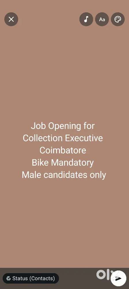 Collection Executive