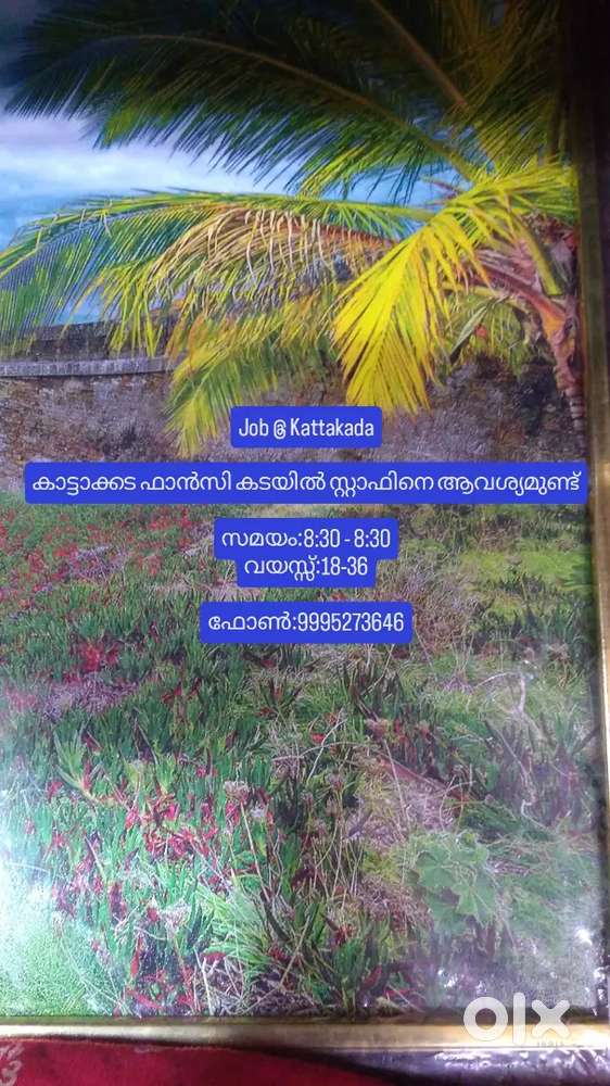 സ്റ്റാഫിനെ ആവശ്യമുണ്ട്