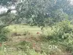 Plot for sale