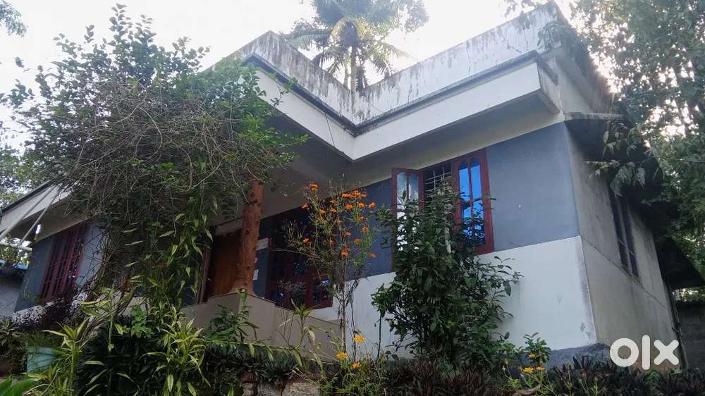 2BHK individual house Ariyottukonam, pothencode
