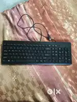 Hp keyboard and mouse