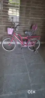 Sundancer cycle