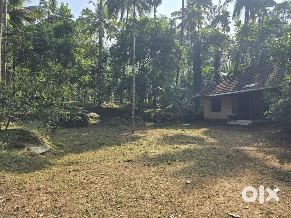 [1]Rubber plantation (2.66 acre), [2] plot for sale

1.30 acre