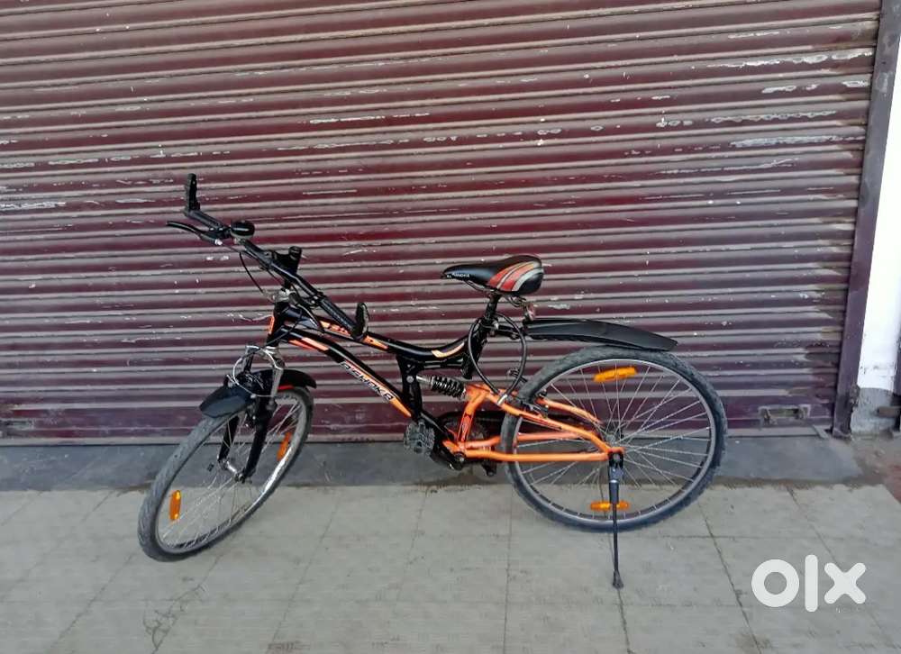 Ashoka cycle