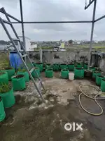 Sale for grow bag