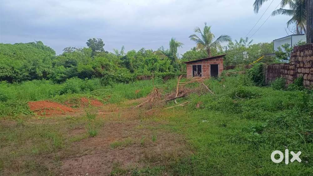 P-01586 : Plot for Sale in Mathukoth, Kannur