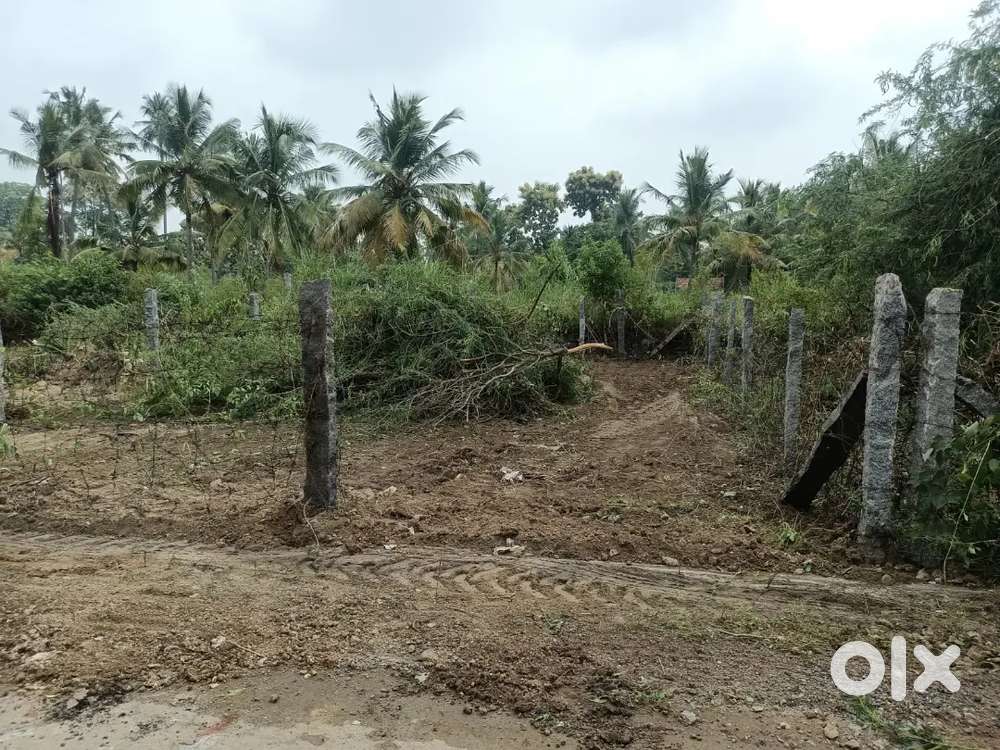 Selling my plot near molaikaddai ayanperumal patti near pudhu road