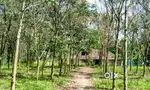 2000acre rubber plantation in malabar kerala