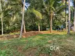 Urgent sale-3.2 lakhs/cent -20.43 cent house plot ,ekarool
