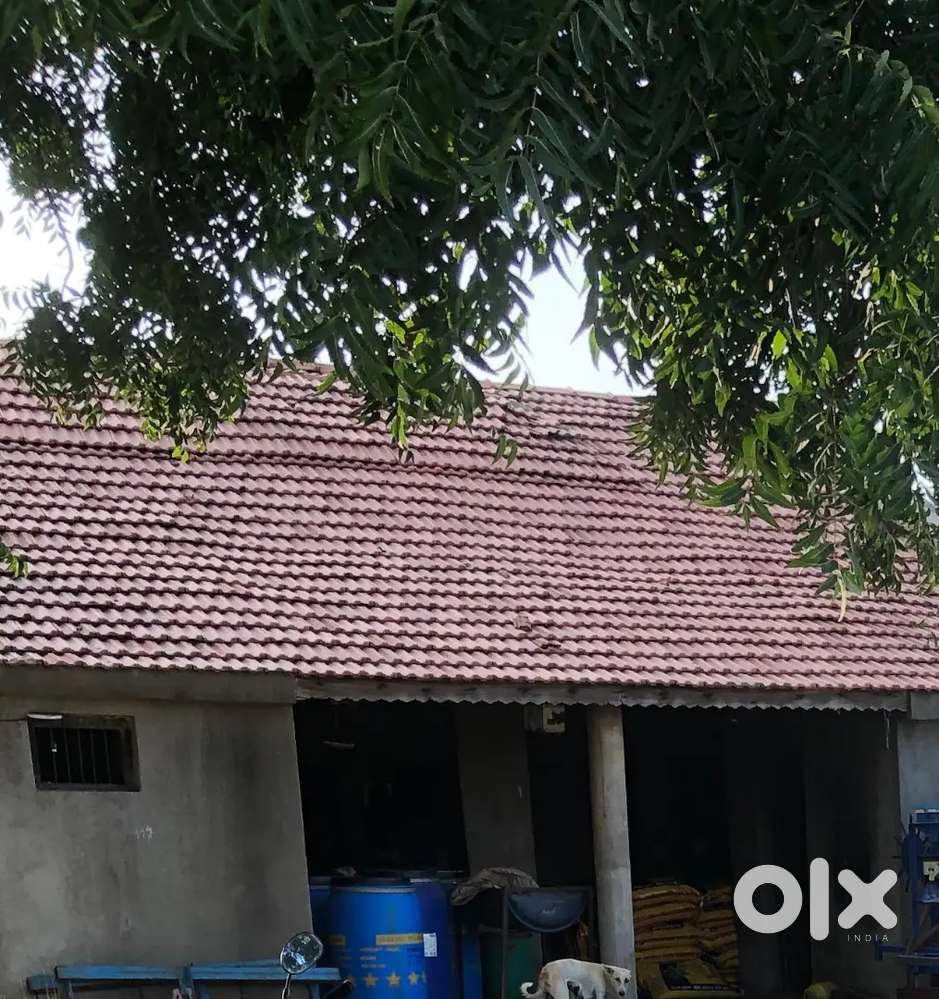 desi vilayti nariya vechvana che