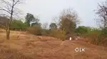 24L/ACER-SARALGAON MURBAD LOCATION-1.5ACRE AGRICULTURE LAND FOR SALE