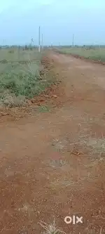 Plots sell-Odisha Bhubaneswar patrapada.