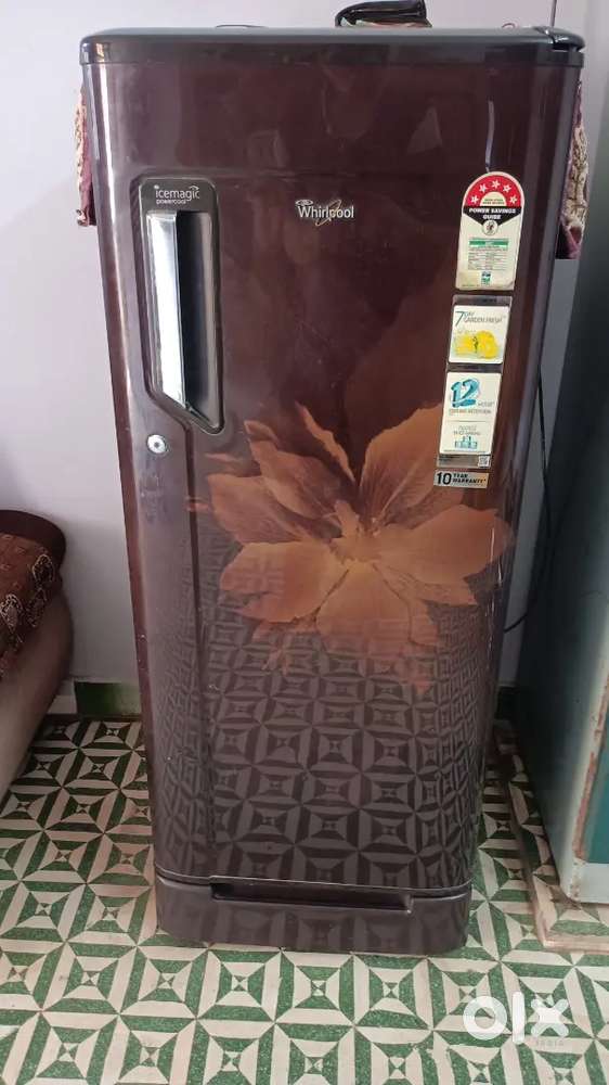 Fridge (Refrigerator)