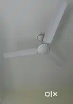 BAJAJ Ceiling Fan