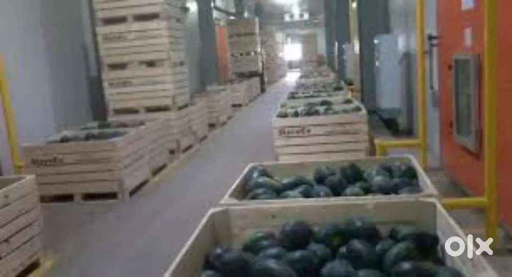 Wanted warehouse packing helpers at ernakulam  [ food / stay]