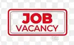 Job in btm layout  female