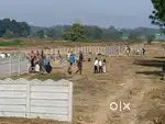 CNT plot kurmi mahto (35 decmil plotting and 50 decmil plotting 1)