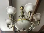Light fixtures and Fans