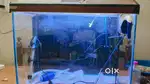 Aquarium Tank