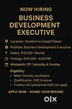 Business Development Executive
