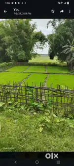 Urgent sale roadside 3 bigha miyadi patta land