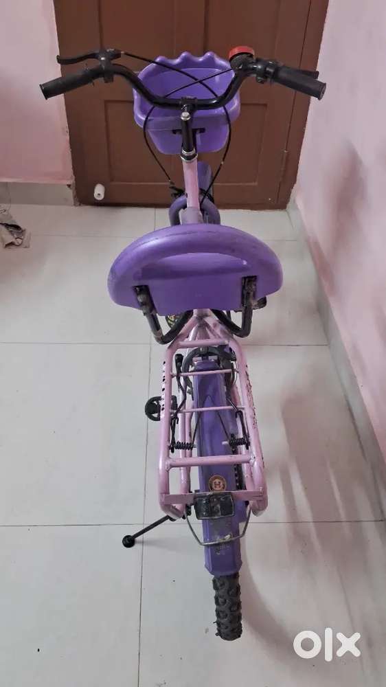 Purple colour medium size