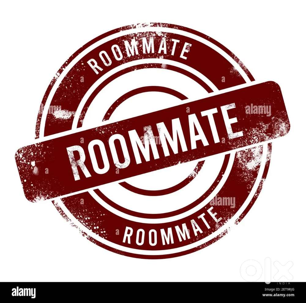 Girl Roommate need