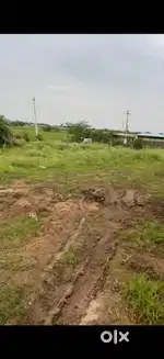 4.5 Acres Agriculture land with Clear Title