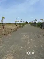 Anand nagar plot for sale 12.50 lac