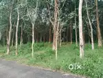 വസ്തു വില്പനക്ക് ( LAND FOR SALE)