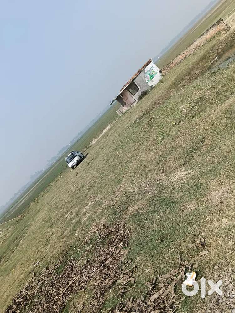 Location jangle khuriya