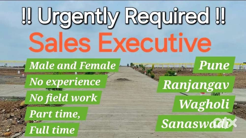 Urgent Hiring Sales Executive for Ploting