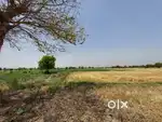 2 Acre Land Kalewa, Ghumka, Rajnandgaon