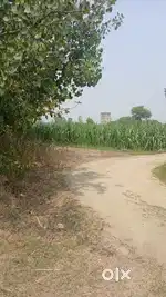 Industrial jamin nale ka pass baghpat up