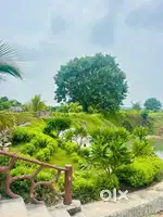 Plots for sale!!in manghata(Rajwada Farms) with 100% finance facility.