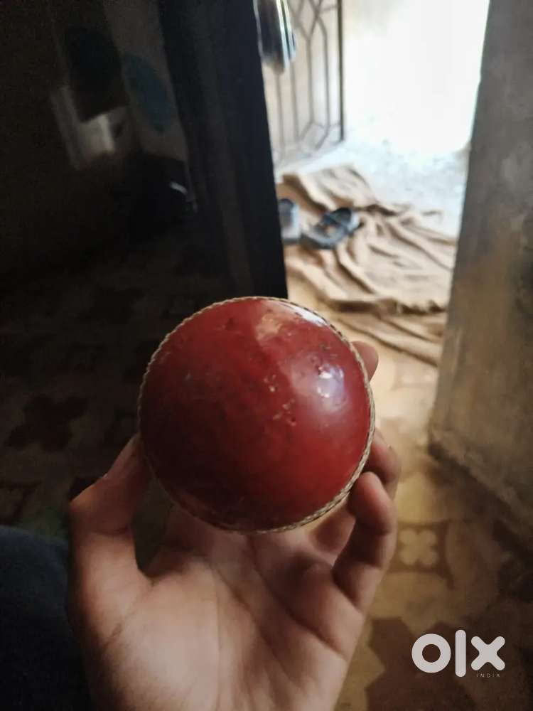 Cricket season ball red colour