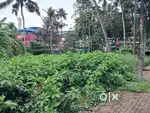 12Cents of Prime Commercial Plot in Vyttila