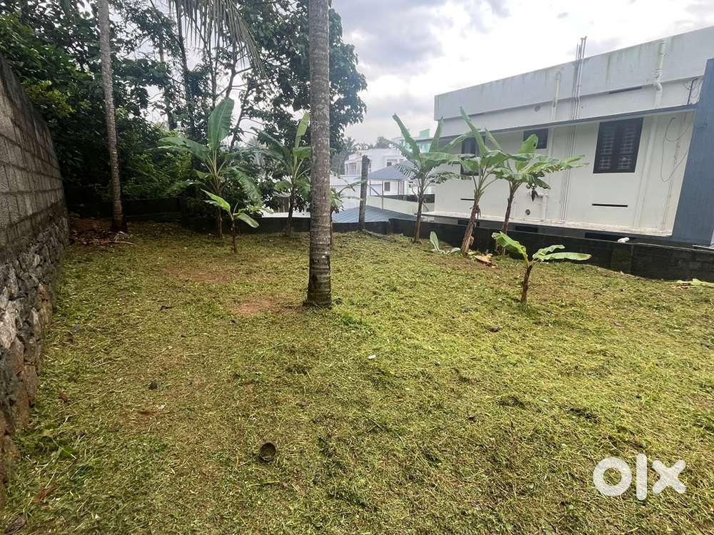 3.75 cents very urgent sale negotiable. Square plot, residential area