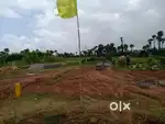 3 Guntha NA plot for sale in Panvel
